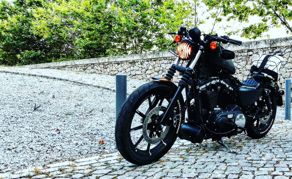 Banco Harley “seat on frame”