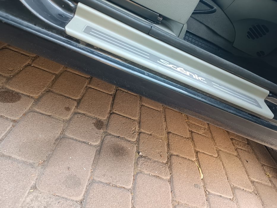 Renault Scenik |