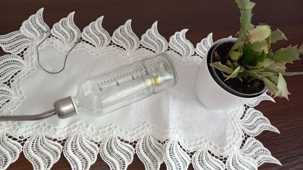 Poidelko dla chomika, koszatniczki