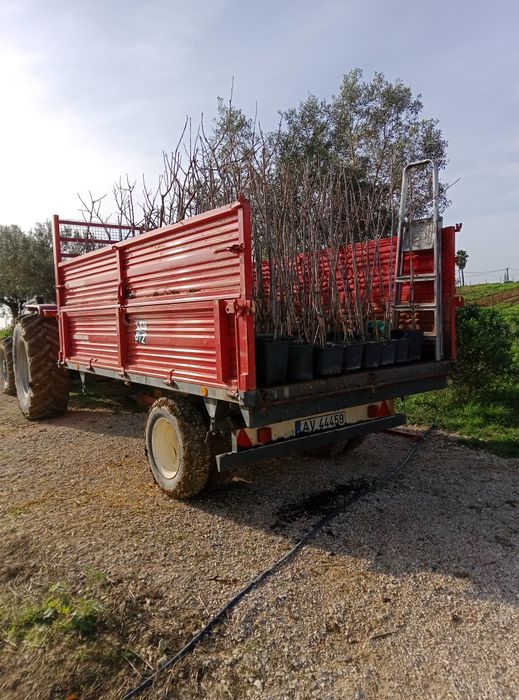 Limpeza de terrenos e serviços agrícolas