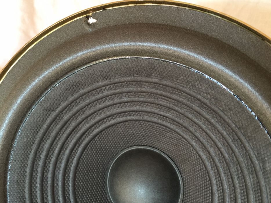 Głośnik Tonsil GDN 20/50