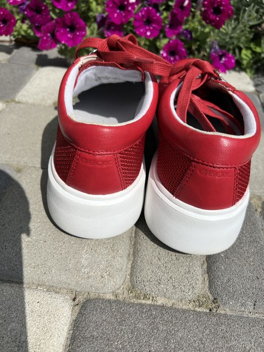 Кеди красовки geox