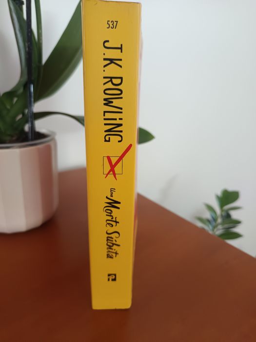 Livro Uma Morte súbita