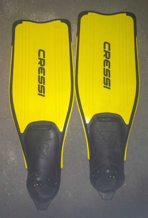 Barbatanas de natação