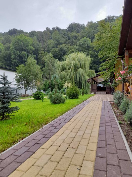 Котедж в заповідній зоні Карпати