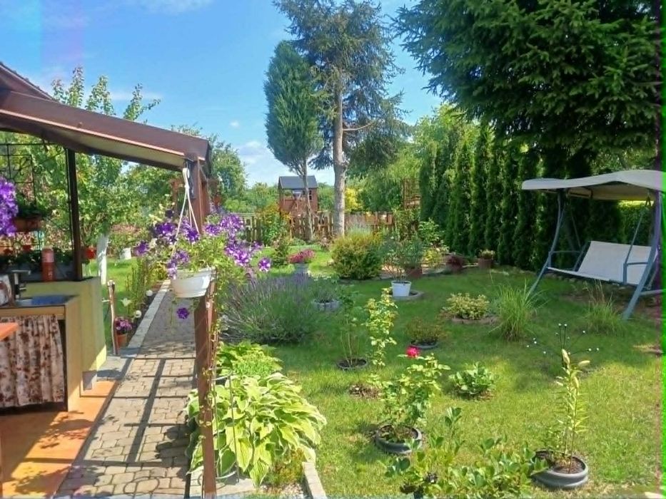 Działka ROD Piastowsk - Międzyrzecz  – 300 m², domek, prąd, oczko wodne