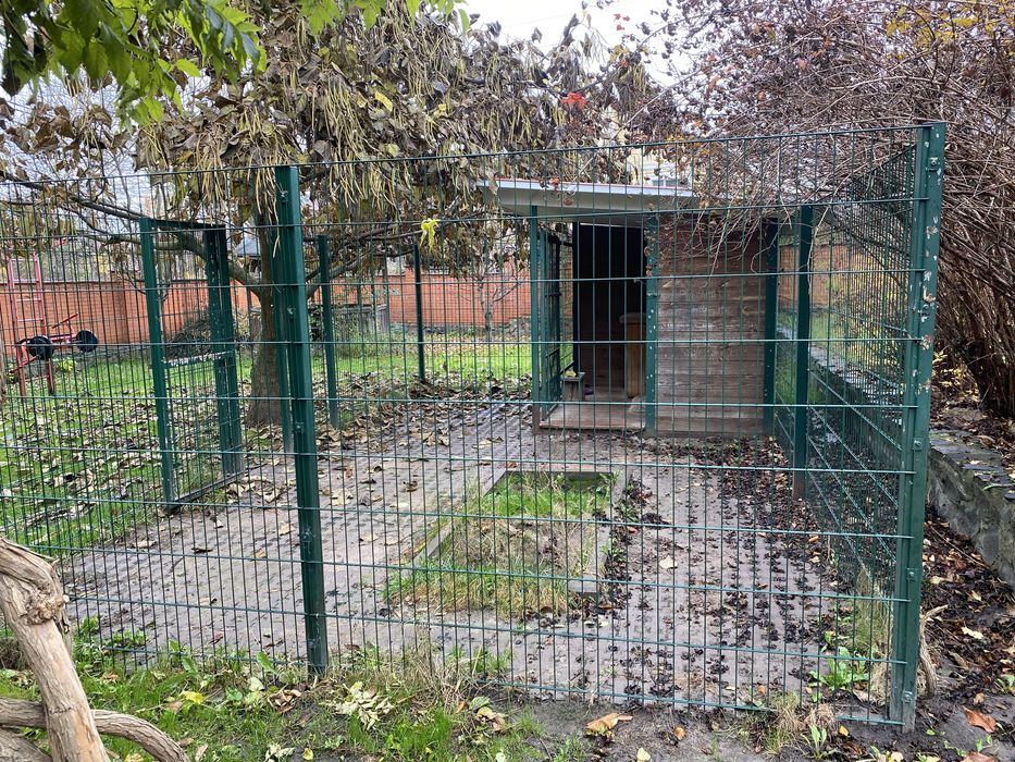 Вольер для собаки