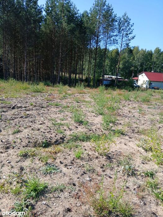Kaszuby sprzedam działki budowlane – Struga, gmina Stara Kiszewa