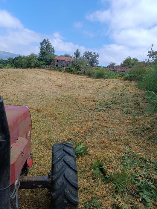 Trabalhos de Giratória/ entulhos/limpeza de terrenos/trabalhos agrícol