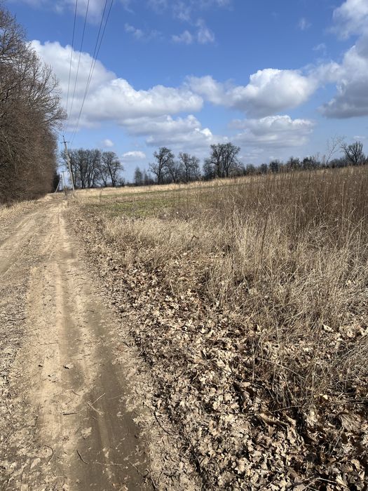 Продам земельну ділянку.