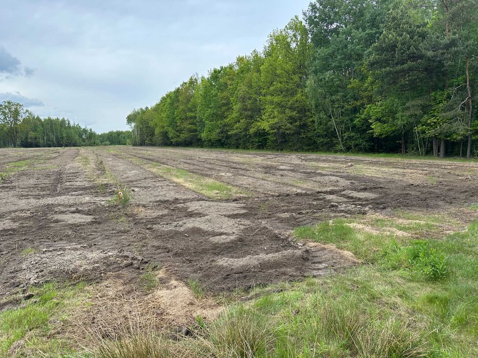 działka Wola Polska gmina Jakubów