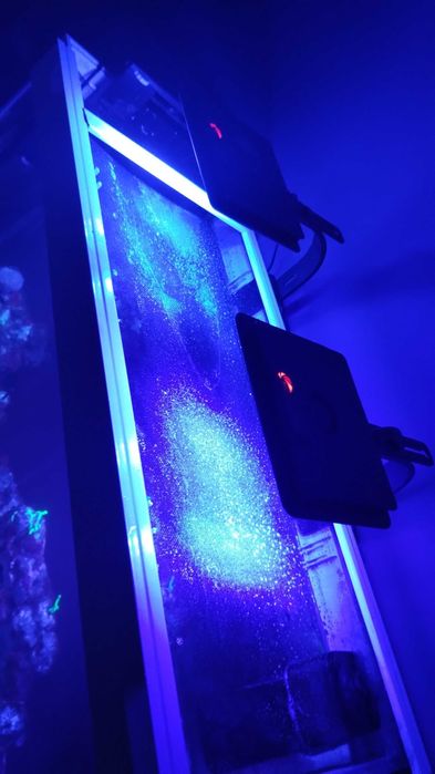 Maxspect Jump MJL-165 BLUE 1/2