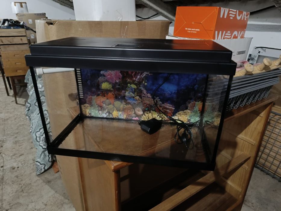 Aquário de peixes c/bomba