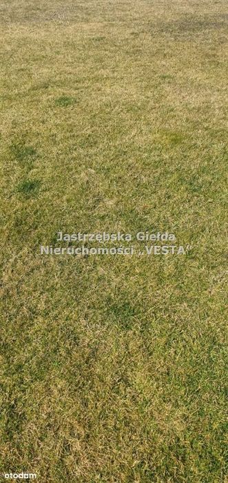 Działka budowlana - Centrum Miasta