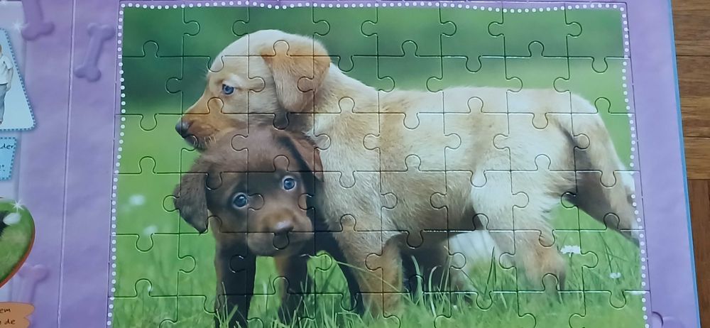 O meu livro puzzle de cães