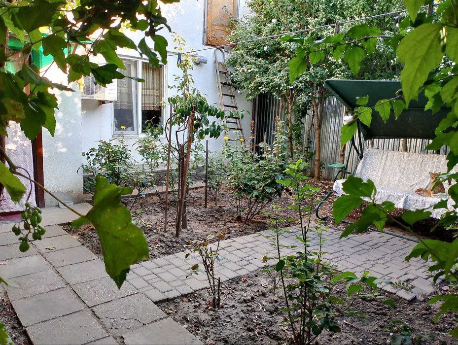 Бюджетное предложение на Чубаевке