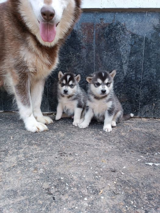 Хлопчик та дівчинка