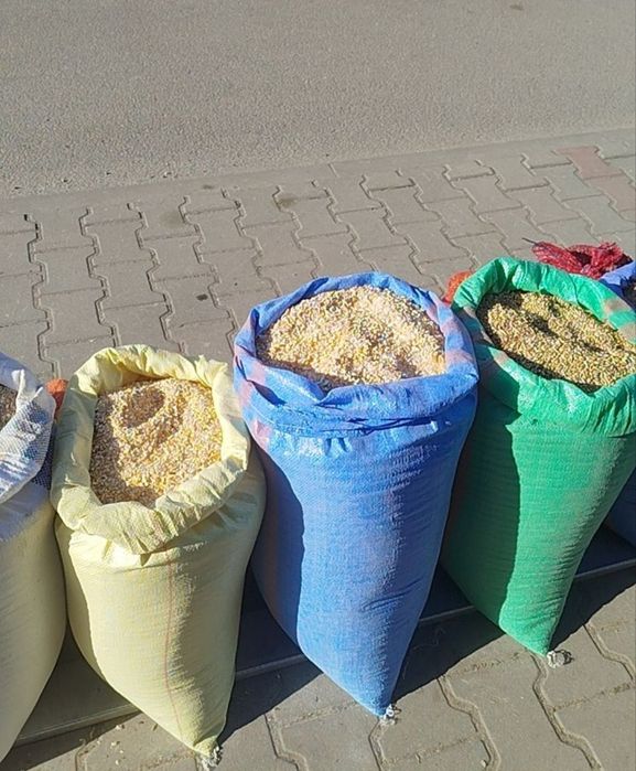 Ziemniaki, zboże