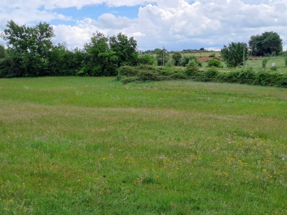 Terreno para venda em Baçal com 1,5 hectares - Bragança