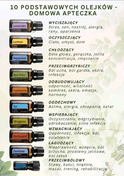 Home Essentials 10olejkow eterycznych  plus dyfuroz