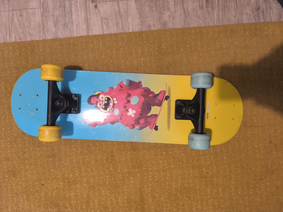 Skate bom estado