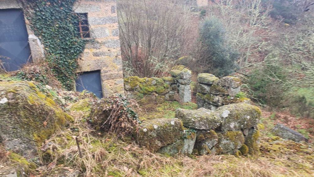 Propriedade com 4ha com Casas, Água, Vista e Muito Acolhedora