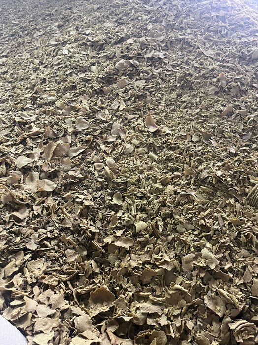 Макуха соєва /шрот соєвий