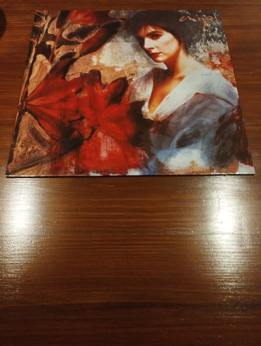 Zestaw dwóch winyli Enya i Eric Serra