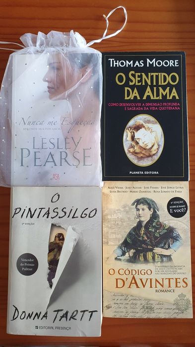Lote de 17 livros