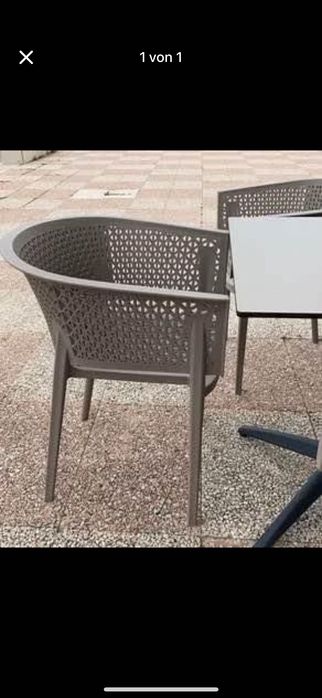 Cadeira Oxy c/bracos turtle dove