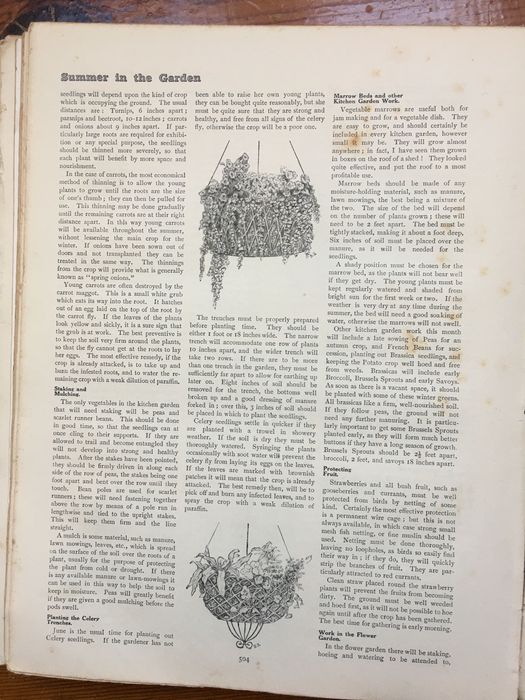 The girls own annual volume 38 Hardcover 1 Jan 1917 by Flora Klickmann