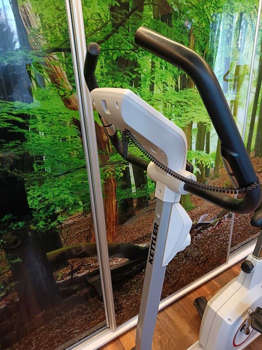 Rowerek Kettler Polo M