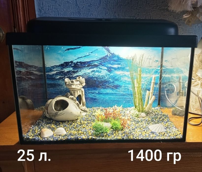 Аквариумы на любой вкус