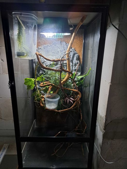 Terrarium siatkowe 50x50x100 dla kameleona
