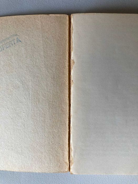 Ponto de Vista, de Egídio Namorado