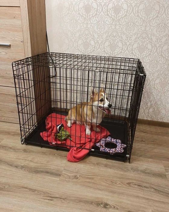 Переноска, клетка, клітка, вольер будка, домик для собак или кошек