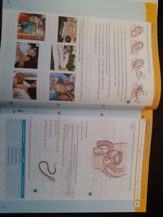 Manual e caderno de Atividades VIVA A TERRA! - Ciências 6º ano