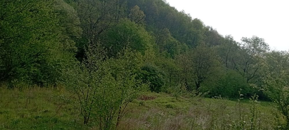 Продам ділянку у рекі Пеня Солочин 6 соток