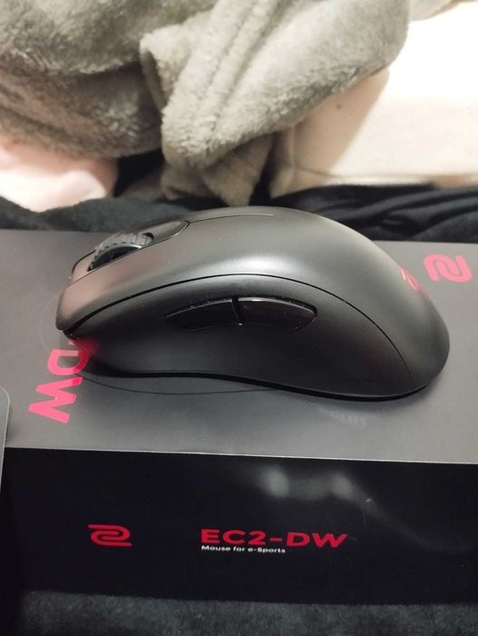 Rato Gaming BenQ EC2-DW