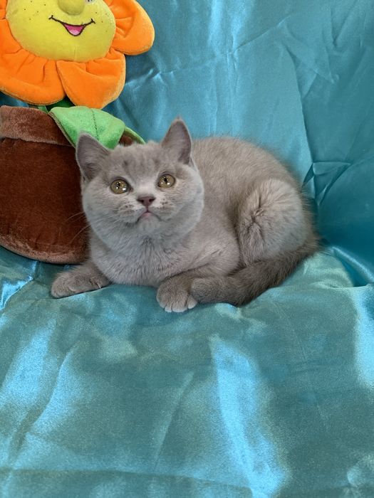 Хлопчики в плюшевих шубках !