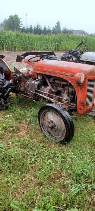 Sprzedam traktor ferguson