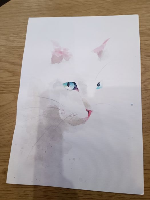 Малюнок, рисунок Кота