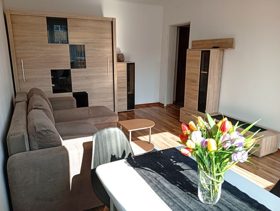 Wynajmę kawalerkę 28 m2 Tarnów ul. Leśna