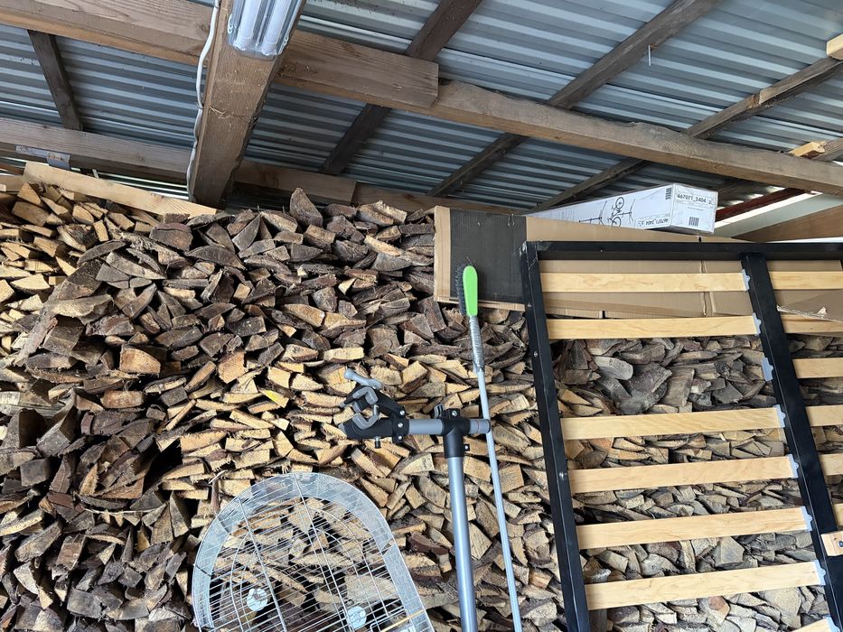 Sprzedam drzewo sosna polecam