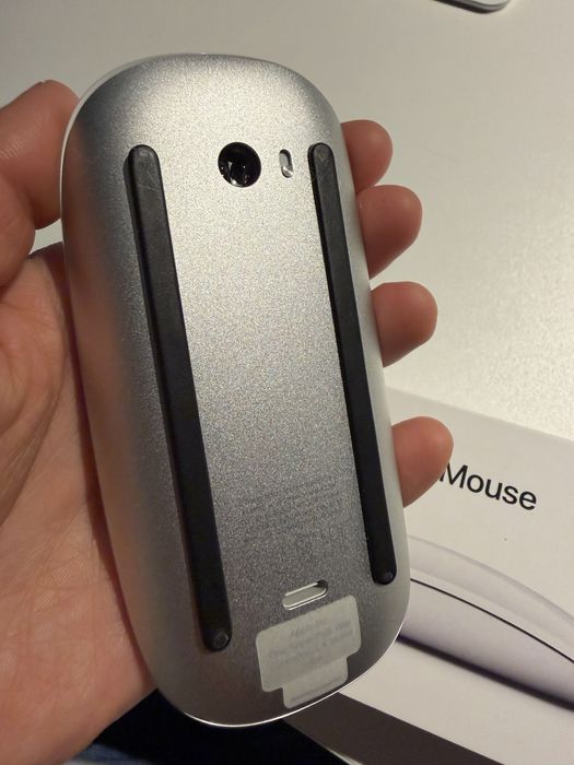 Magic mouse apple