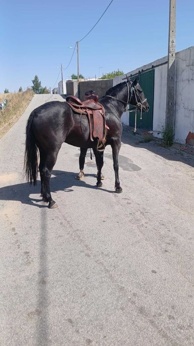 Para venda Para venda