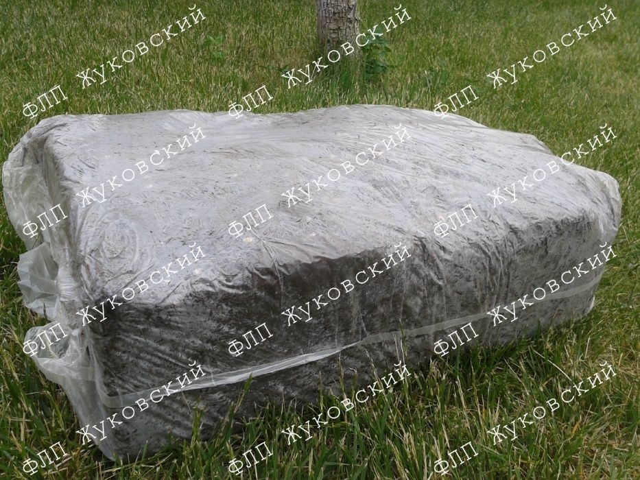 Блок королівської (коричневої) печериці Стандарт Королівский без покро