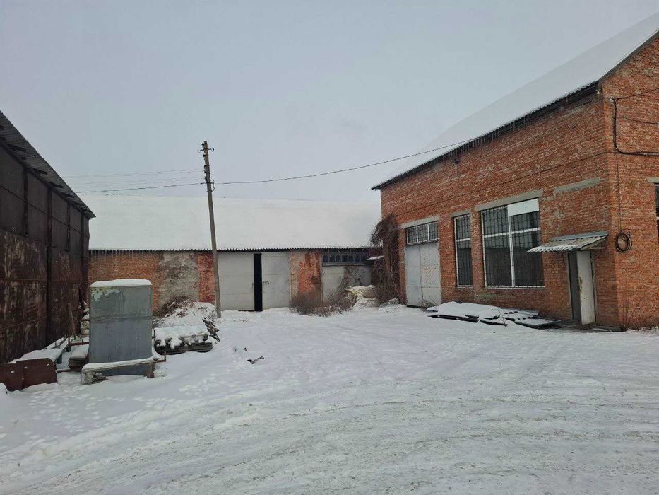 Продаж складських приміщень в Рокитно