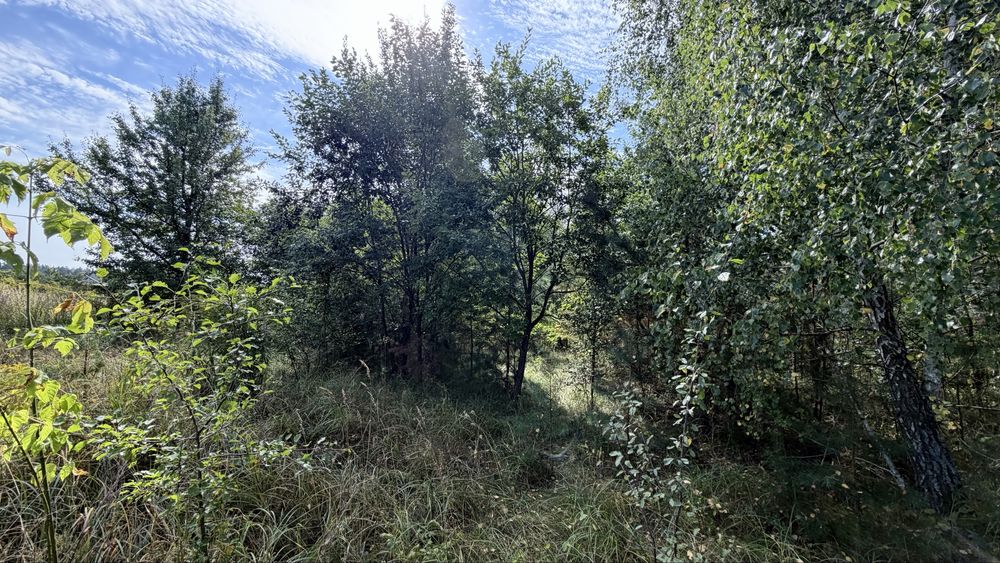 Продається ділянка в Левкові