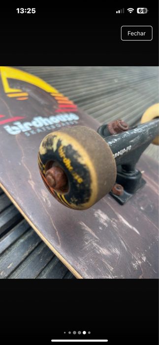 Skate  birdhouse